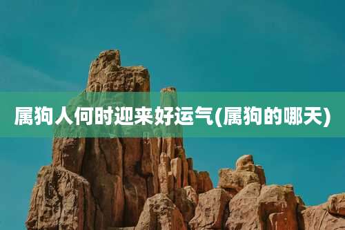 属狗人何时迎来好运气(属狗的哪天)