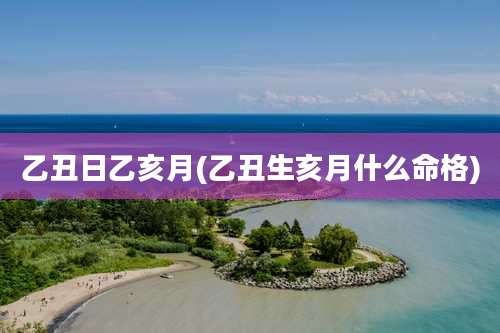 乙丑日乙亥月(乙丑生亥月什么命格)