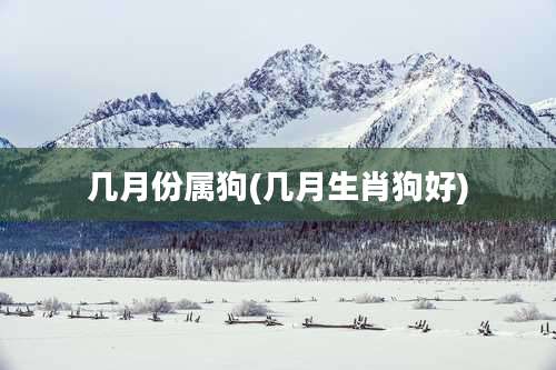 几月份属狗(几月生肖狗好)