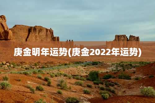 庚金明年运势(庚金2022年运势)