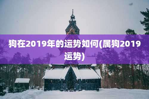 狗在2019年的运势如何(属狗2019运势)