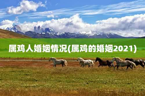 属鸡人婚姻情况(属鸡的婚姻2021)