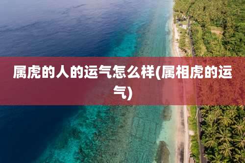 属虎的人的运气怎么样(属相虎的运气)