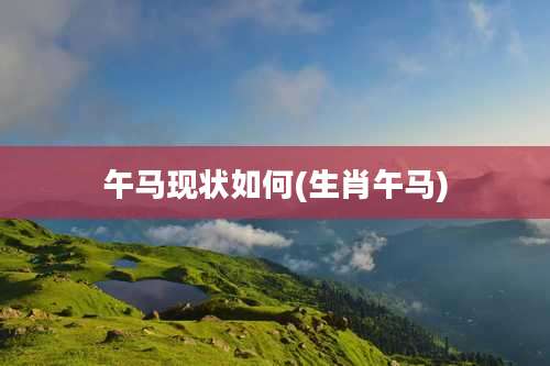 午马现状如何(生肖午马)