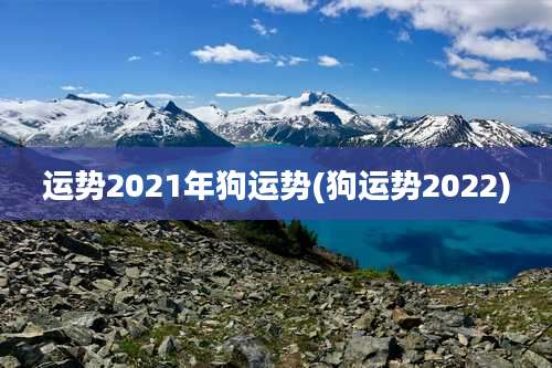 运势2021年狗运势(狗运势2022)