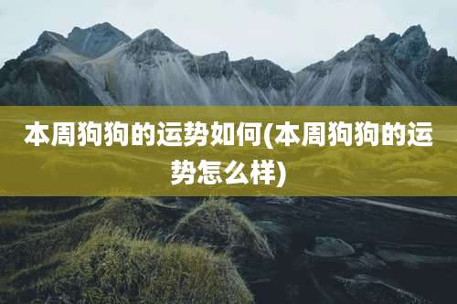 本周狗狗的运势如何(本周狗狗的运势怎么样)