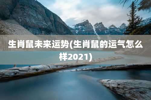 生肖鼠未来运势(生肖鼠的运气怎么样2021)
