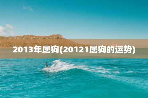 2013年属狗(20121属狗的运势)