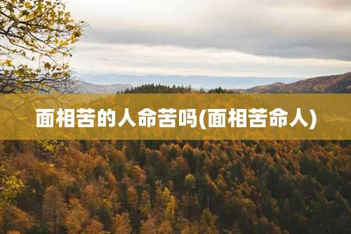 面相苦的人命苦吗(面相苦命人)