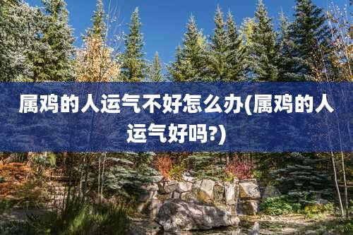 属鸡的人运气不好怎么办(属鸡的人运气好吗?)