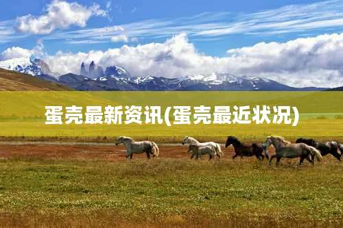 蛋壳最新资讯(蛋壳最近状况)