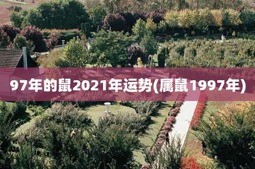 97年的鼠2021年运势(属鼠1997年)