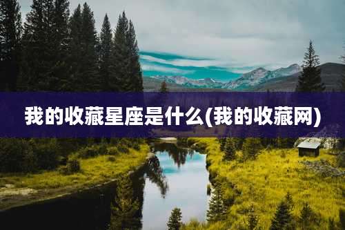 我的收藏星座是什么(我的收藏网)