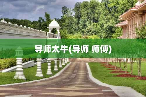 导师太牛(导师 师傅)