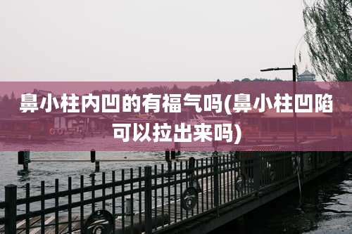 鼻小柱内凹的有福气吗(鼻小柱凹陷可以拉出来吗)