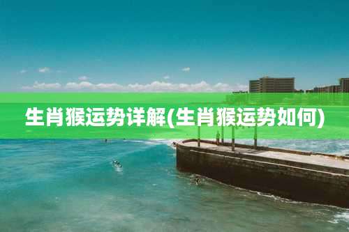 生肖猴运势详解(生肖猴运势如何)