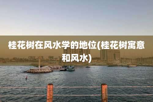 桂花树在风水学的地位(桂花树寓意和风水)