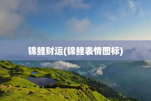 锦鲤财运(锦鲤表情图标)