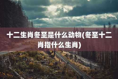 十二生肖冬至是什么动物(冬至十二肖指什么生肖)