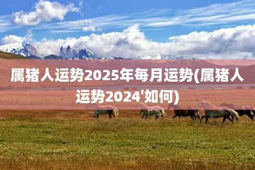 属猪人运势2025年每月运势(属猪人运势2024'如何)