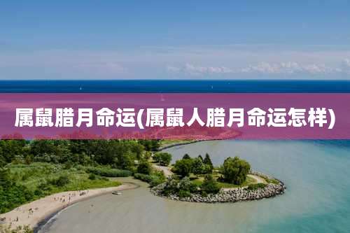 属鼠腊月命运(属鼠人腊月命运怎样)