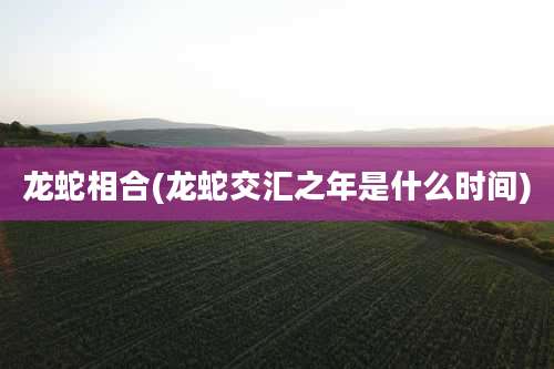 龙蛇相合(龙蛇交汇之年是什么时间)