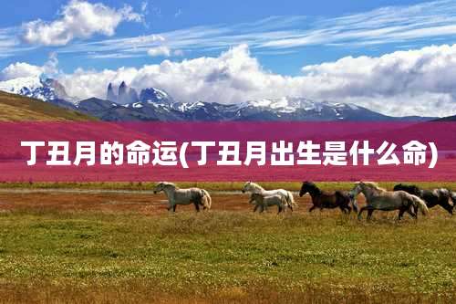 丁丑月的命运(丁丑月出生是什么命)