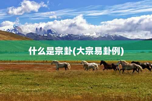 什么是宗卦(大宗易卦例)