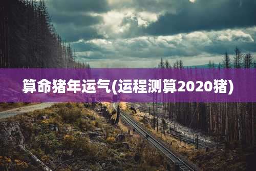 算命猪年运气(运程测算2020猪)