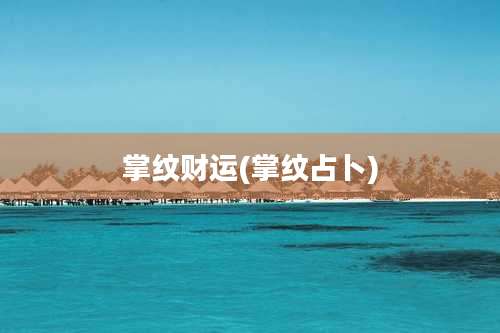 掌纹财运(掌纹占卜)