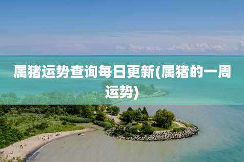 属猪运势查询每日更新(属猪的一周运势)