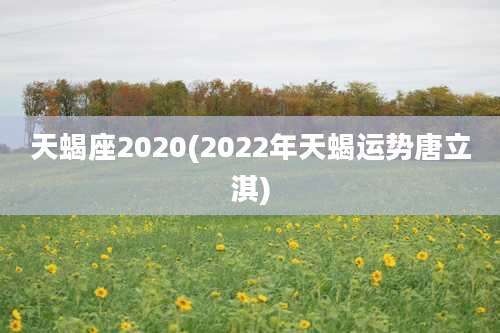 天蝎座2020(2022年天蝎运势唐立淇)