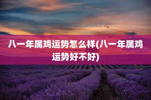 八一年属鸡运势怎么样(八一年属鸡运势好不好)