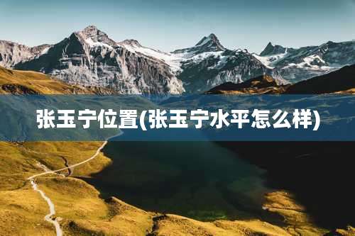 张玉宁位置(张玉宁水平怎么样)