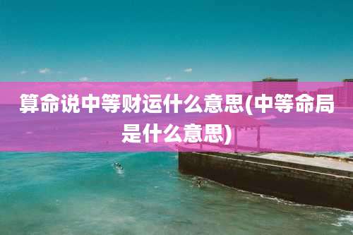 算命说中等财运什么意思(中等命局是什么意思)