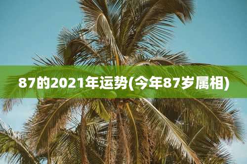 87的2021年运势(今年87岁属相)