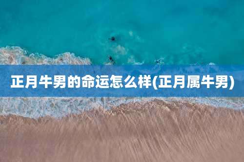 正月牛男的命运怎么样(正月属牛男)