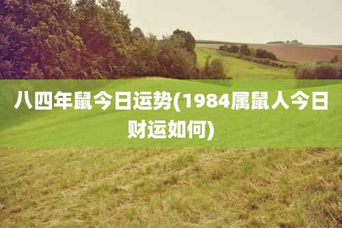 八四年鼠今日运势(1984属鼠人今日财运如何)