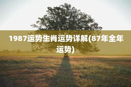 1987运势生肖运势详解(87年全年运势)