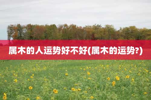 属木的人运势好不好(属木的运势?)