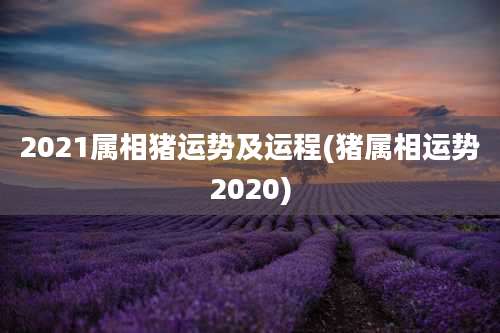 2021属相猪运势及运程(猪属相运势2020)