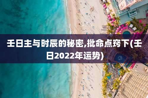 壬日主与时辰的秘密,批命点窍下(壬日2022年运势)