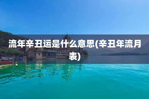 流年辛丑运是什么意思(辛丑年流月表)