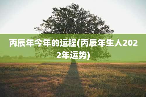 丙辰年今年的运程(丙辰年生人2022年运势)