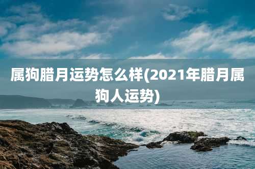 属狗腊月运势怎么样(2021年腊月属狗人运势)