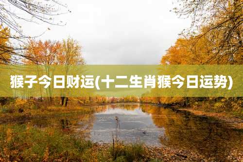 猴子今日财运(十二生肖猴今日运势)