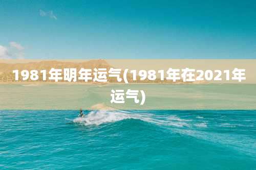 1981年明年运气(1981年在2021年运气)