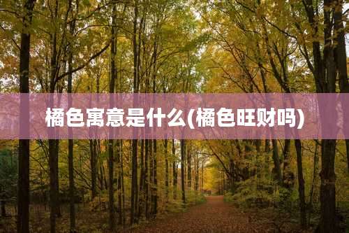 橘色寓意是什么(橘色旺财吗)