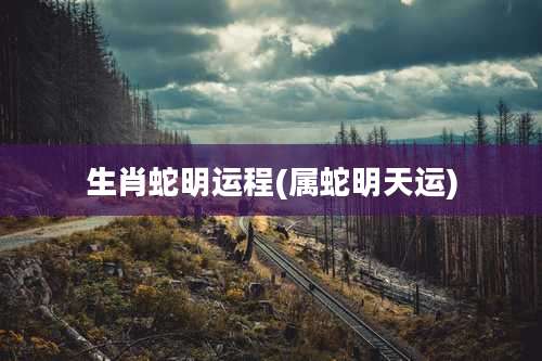 生肖蛇明运程(属蛇明天运)