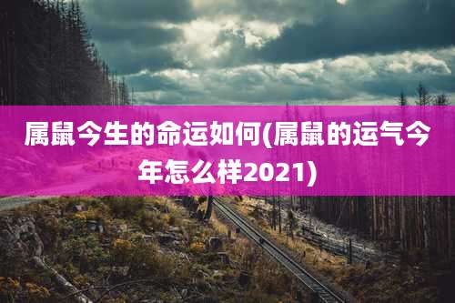 属鼠今生的命运如何(属鼠的运气今年怎么样2021)